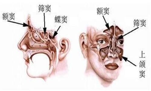 北京麦西美嘉美容整形价格表2025版！附精致隆鼻效果图！