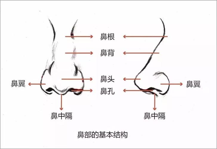 咸宁垫鼻子大概需要费用多少？听说垫个鼻子好看很多呢~