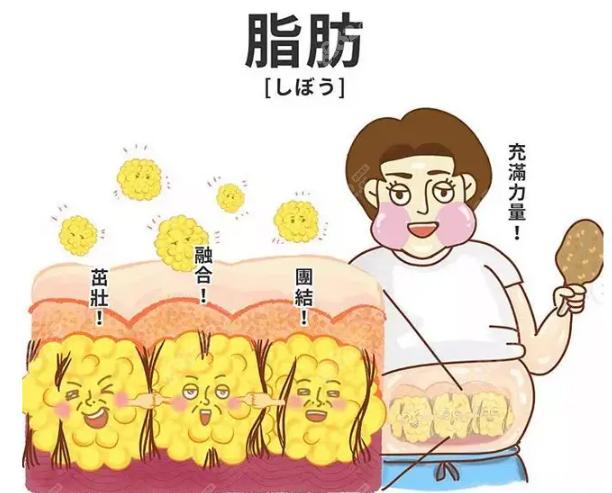 [新]张家口第四医院整形医院、医生、价目明细表在线预览