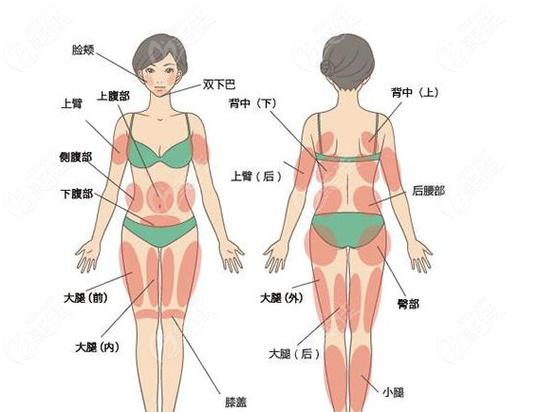腰腹抽脂手术价格表：多少钱？不同医院价格表对比及术后恢复