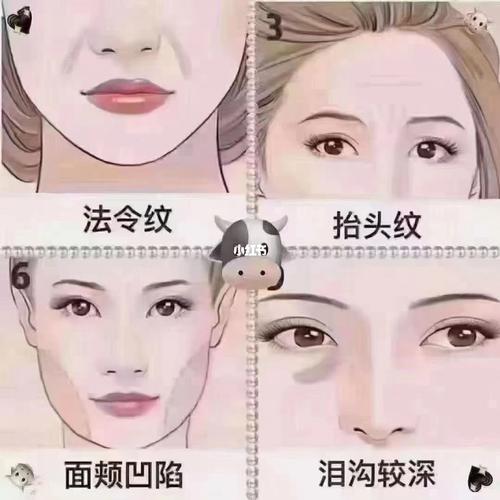 双美胶原蛋白价格表一览：费用多少？效果维持多久？哪些部位可填充？