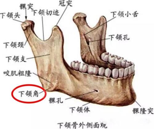 [马住]九院磨骨价目表新版问世，磨骨案例效果对比来惹！