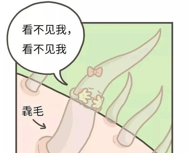【新版】惠州中心人民医院整形科价目表，知己知彼~