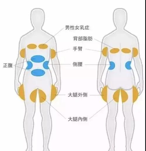 武汉中翰医疗美容医院整形项目价格表，吸脂减肥、隆鼻等价格表大揭秘
