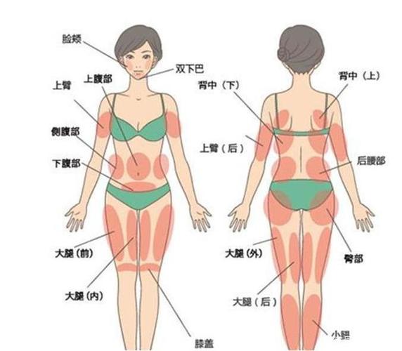 腰部吸脂手术价格表：价格贵吗？不同城市、医院、个人情况影响价目表
