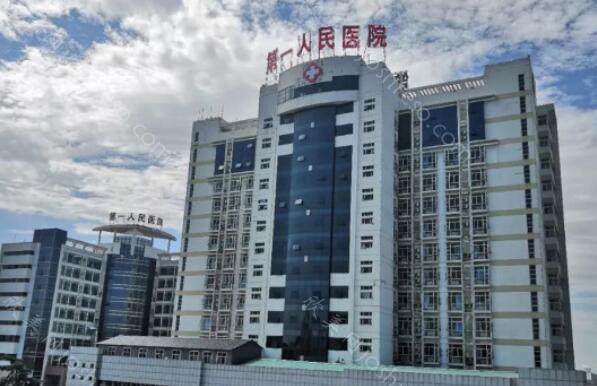 汝州市第一人民医院2024年整形项目价格及概览