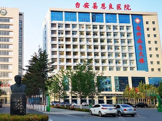 2024年恩良医院医疗美容科全新整形价格一览表