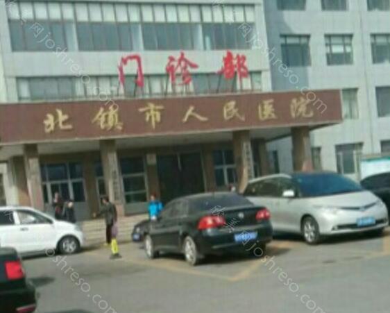 2024年北镇市人民医院整形项目收费标准全面解析