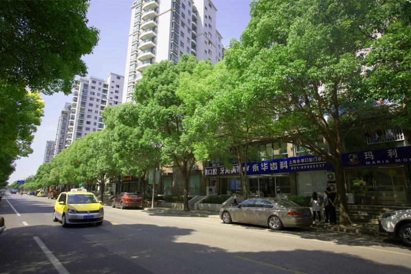 上海永华口腔门诊部收费一览：牙齿治疗费用多少？价目表大揭秘，价格贵吗？