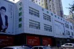 吉林地区假体隆胸手术费用一览，价格表详细解析，美胸投资值得吗？