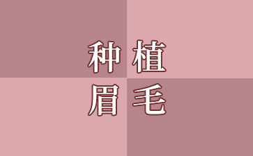 「眉毛种植价格」眉毛淡无眉怎么办 种植眉毛让你更显魅力