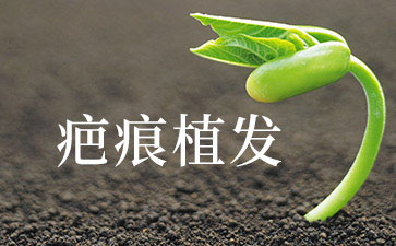 疤痕植发的效果如何 如何选择一家好的疤痕种植医院
