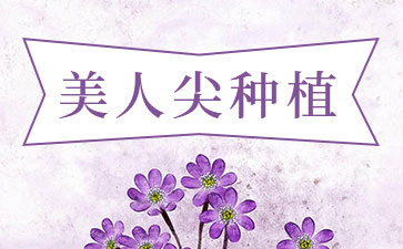 头发种植运用了什么原理?头发种植如何护理？
